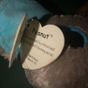 Elephant beanie boo🙃🤍.